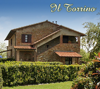 torrino